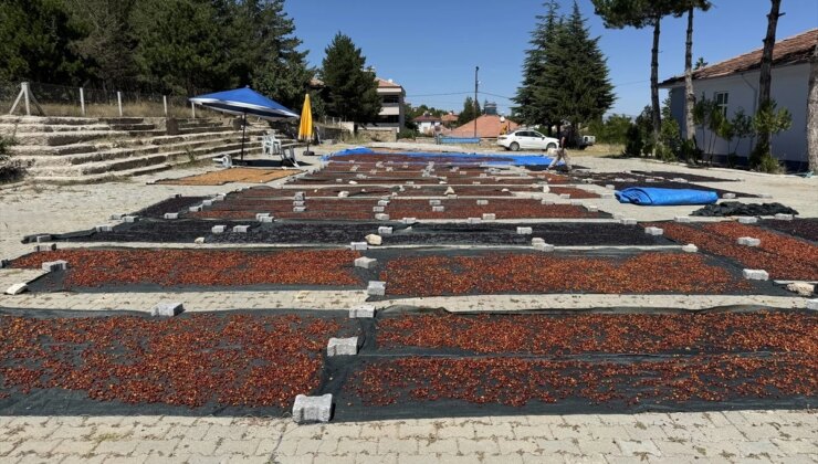 Yozgat’tan Japonya’ya Kiraz İhracatı