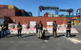 Türkiye-İspanya Ortak Operasyonunda 1,7 Ton Kokaine Darbe: 3 Kişi Yakalandı