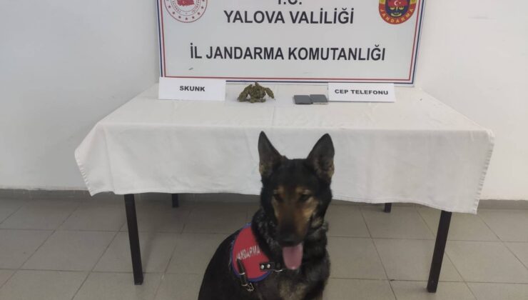 Yalova’da Uyuşturucu Operasyonu: Kadıköy Beldesinde 2 Şüpheli Yakalandı