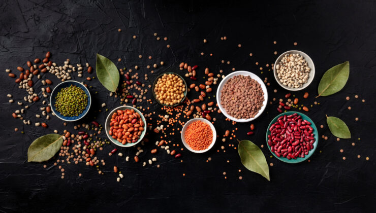 Türkiye’nin Gıda İhracatı 1,9 Milyar Dolara Ulaştı