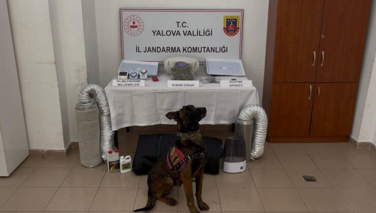 Yalova’da Evine İklimlendirme Sistemi Kuran Uyuşturucu Zanlısı Yakalandı