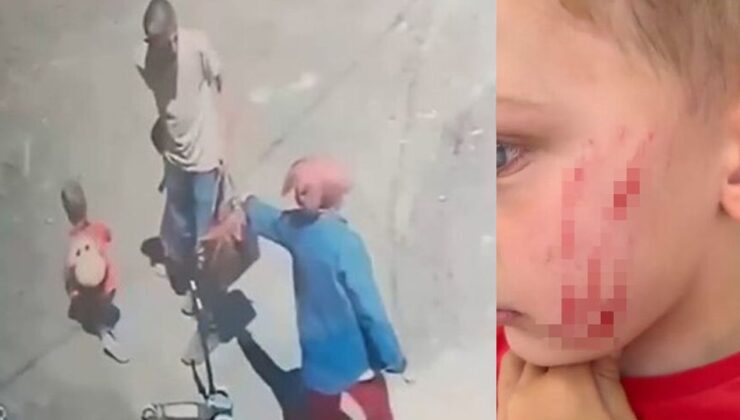 Van’da sokakta oynayan çocuğa saldırı: O anlar kamerada