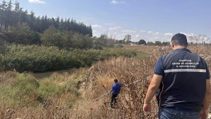 Tekirdağ’da Atık Yönetimi Denetimleri: 22 İşletmeye Rekor Ceza 2 İşletmenin Faaliyeti Durduruldu